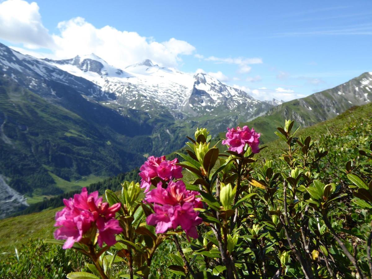 Апартаменты Alpenrose Тукс Экстерьер фото